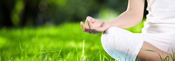 Meditate to Proliferate Meditate to Proliferate